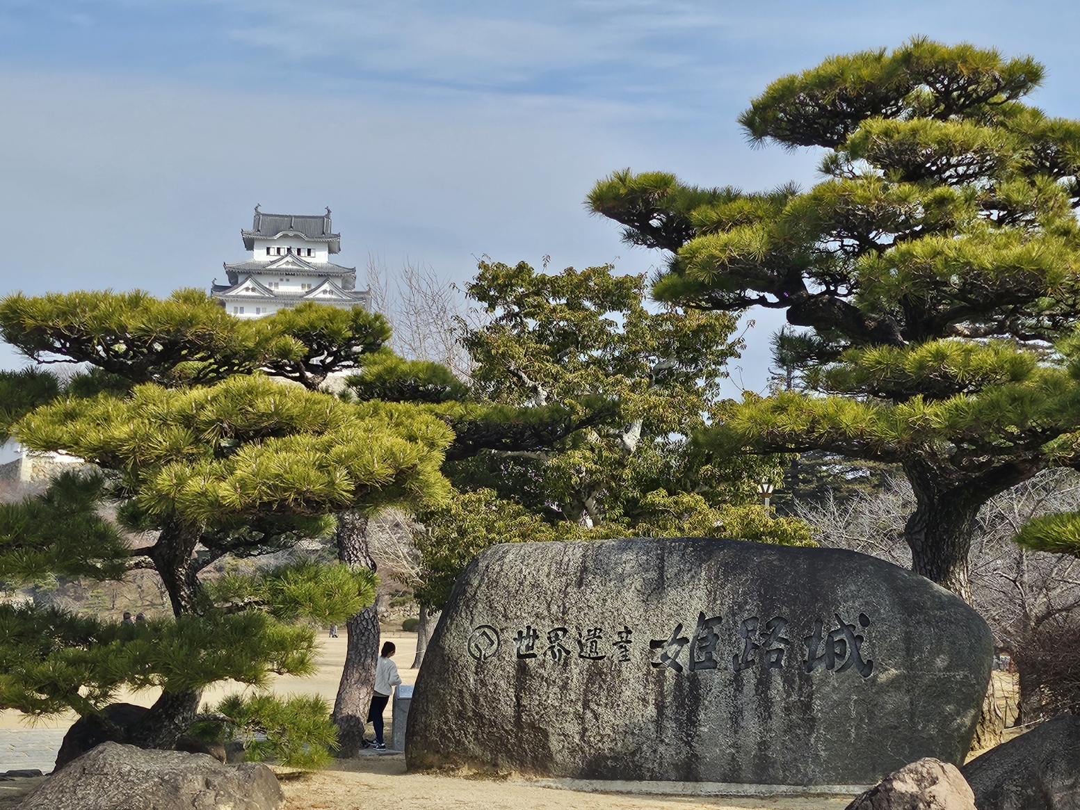 20260214_102754.jpg (1.10 MB)