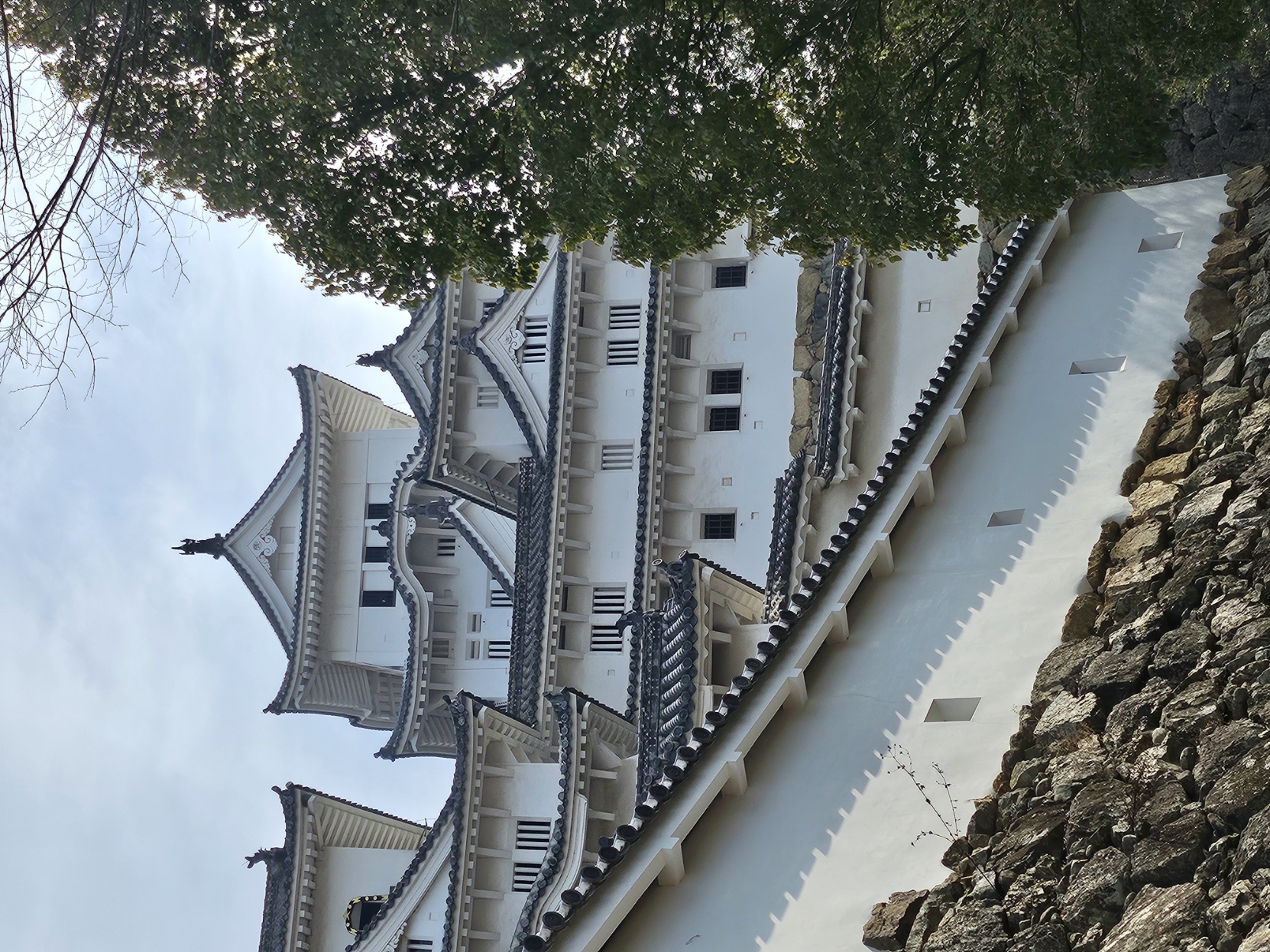 20260214_103946.jpg (1.06 MB)