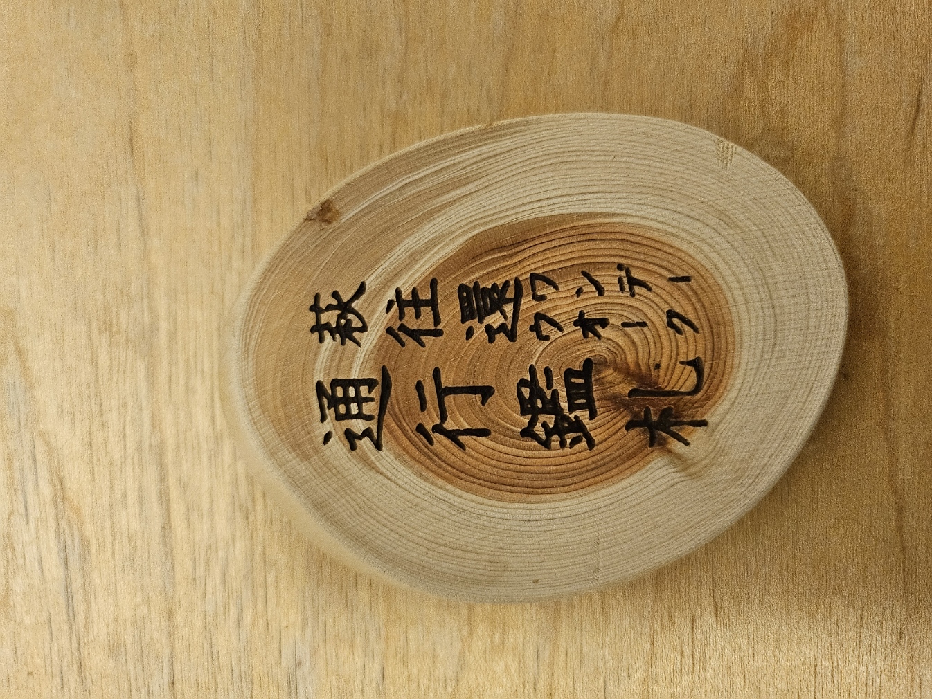 20260314_164050.jpg (838 KB)